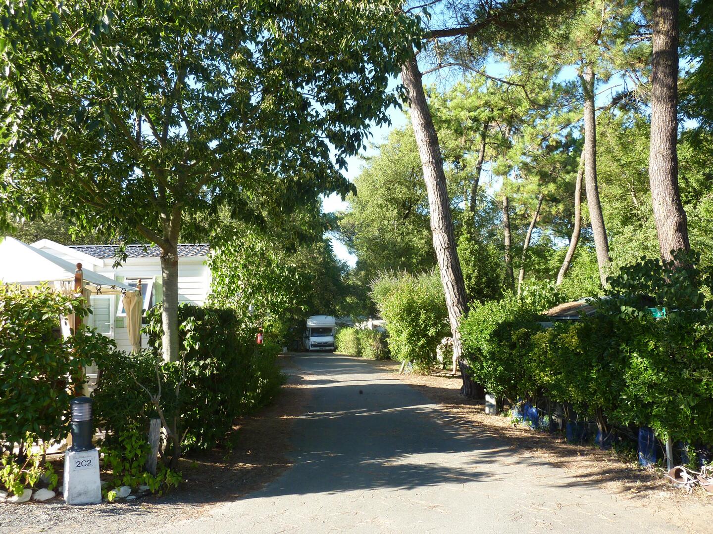 Camping Les Chardons Bleus – Île de ré