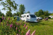 Camping de l'Etang Brissac-Quincé