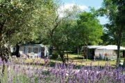 Camping Le Petit Bois Ruoms