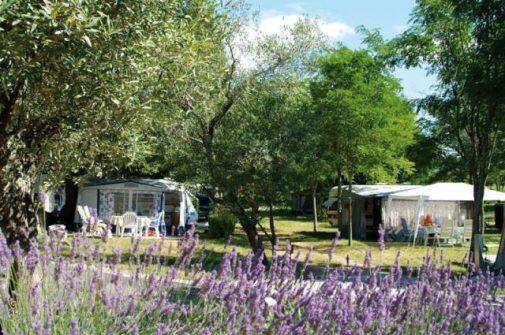 Camping Le Petit Bois Ruoms