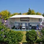 Camping Le Pin Parasol