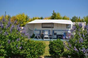 Camping Le Pin Parasol