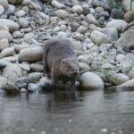 Camping Le Plan D'Eau