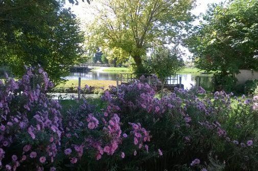 Camping Le Plein Air Neuvicois Frankrijk