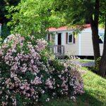 Camping Le Temps De Vivre