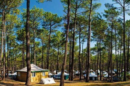 Camping le Vivier Biscarrosse