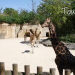 Camping Les Rives du Douet
