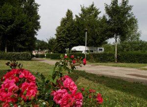 Camping Roc de L'Arche