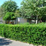 Camping Saint-Hubert