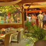 Flower Camping Clairière