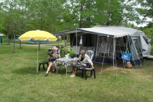 Flower Camping Saint Amand