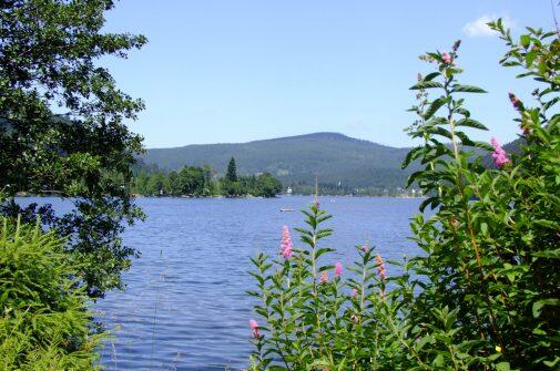 Flower Camping Verte Vallee Xonrupt-Longemer