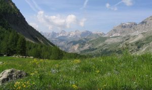 Camping Rhône-Alpes