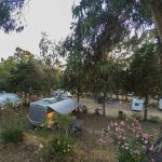 Camping Tikiti