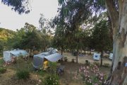 Camping Tikiti