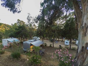 Camping Tikiti