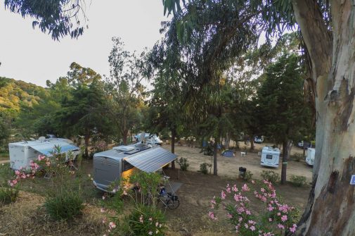 Camping Tikiti